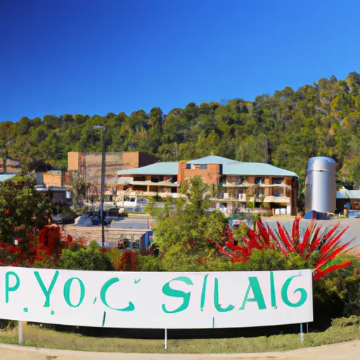 Hot Springs Village City : Interesting Facts, Famous Things & History Information