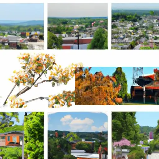 Bloomingdale, TN : Interesting Facts, Famous Things & History Information | What Is Bloomingdale Known For?