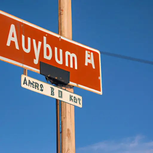 Auburn City : Interesting Facts, History & Information