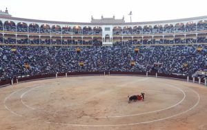 bullfight-406865_640
