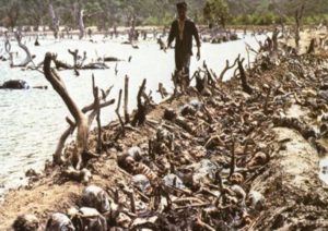 Cambodian Killing Fields