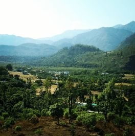 information about Dehradun