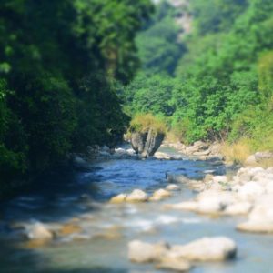 Dehradun, facts about dehradun