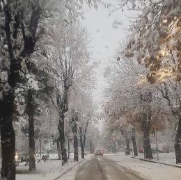 Albania. Korça