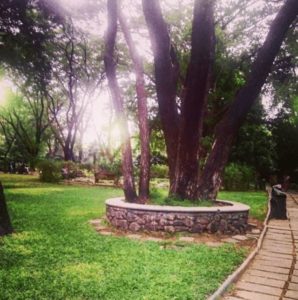 Chennai, botanical garden