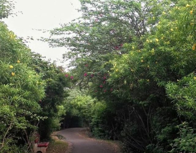 Jahanpanah