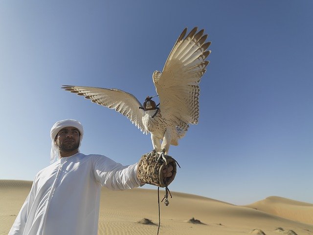 Top 6 Heritage Sites to Visit When in the UAE Top 6 Heritage Sites to Visit When in the UAE
