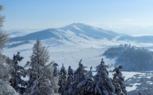 Russia, Altai Mountain