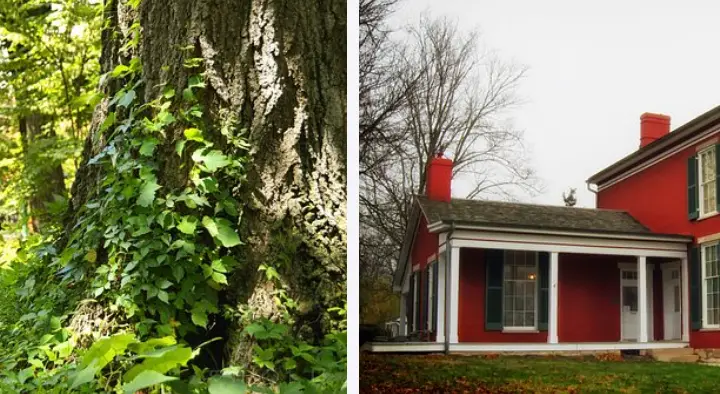 Bloomington, IN: Interesting Facts, Culture & Things To Do | What is Bloomington known for?