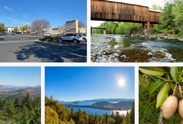 Chico City, CA: Interesting Facts, Culture & Things To Do | What is Chico City known for?