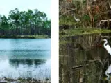 Everglades National Park