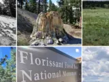 Florissant Fossil Beds National Monument