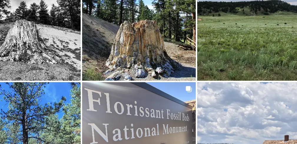 Florissant Fossil Beds National Monument : Interesting Facts, History & Travel Guide