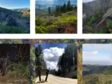 Interesting Facts, History & Information About Berryessa Snow Mountain