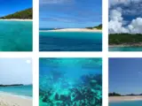 Interesting Facts, History & Information About Buck Island Reef