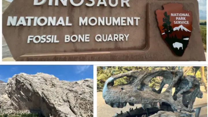 Interesting Facts, History & Information About Dinosaur National Monument