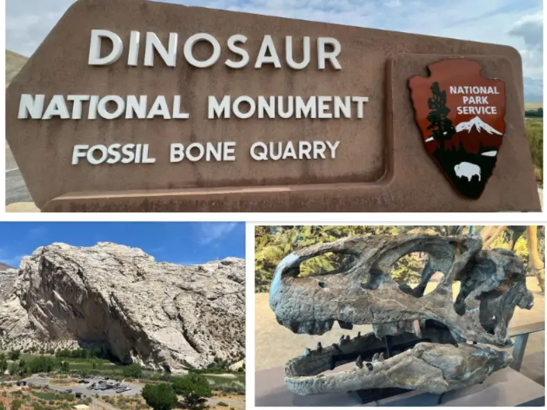 Interesting Facts, History & Information About Dinosaur National Monument