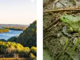 Interesting Facts, History & Information About Effigy Mounds National Monument