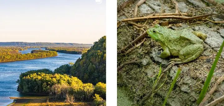 Interesting Facts, History & Information About Effigy Mounds National Monument
