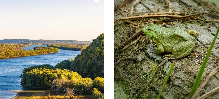 Interesting Facts, History &#038; Information About Effigy Mounds National Monument