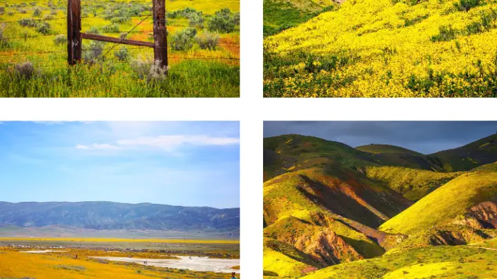 Interesting Facts, History & Information About The Carrizo Plain