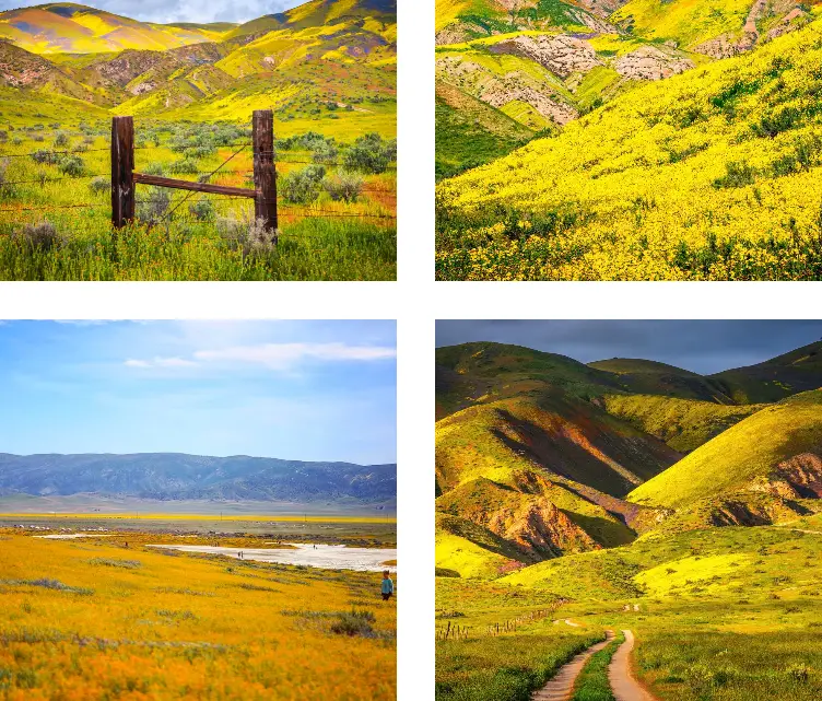 Interesting Facts, History & Information About The Carrizo Plain