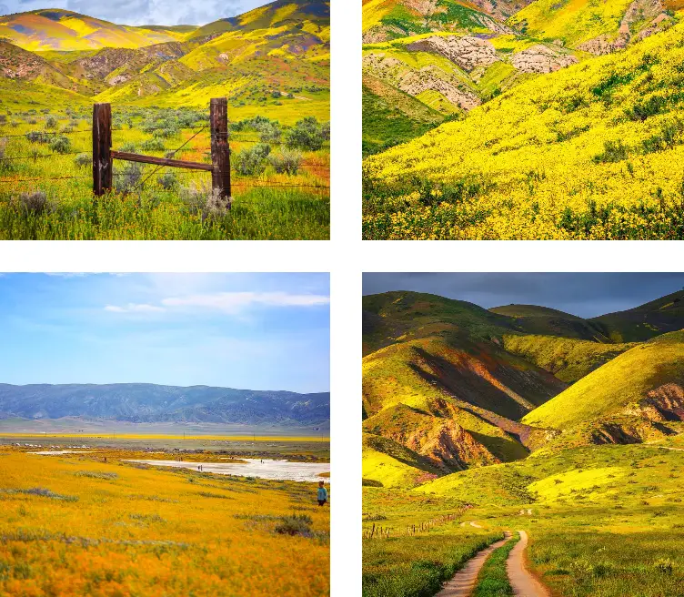 Interesting Facts, History &#038; Information About The Carrizo Plain