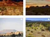 Interesting Facts, History & Information About The Castle Mountains