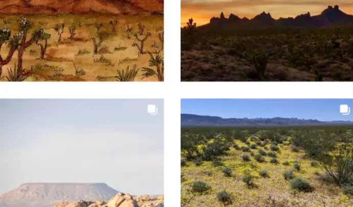 Interesting Facts, History & Information About The Castle Mountains National Monument