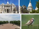 Lafayette