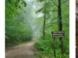 Mammoth Cave National Park