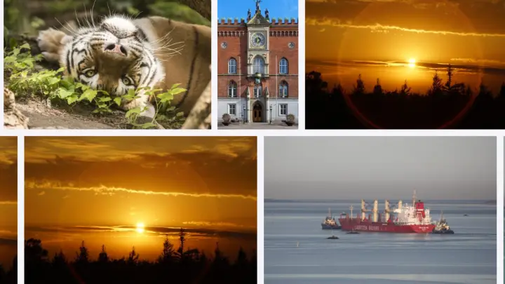Odense: Interesting Facts, Culture & Things To Do | What is Odense known for?
