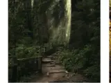 Olympic National Park