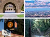 Palo Alto