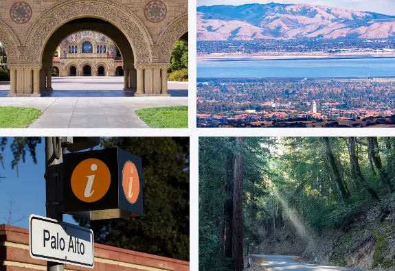 Palo Alto, CA: Interesting Facts, Culture & Things To Do | What is Palo Alto known for?