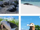 Papahanaumokuakea Marine National Monument