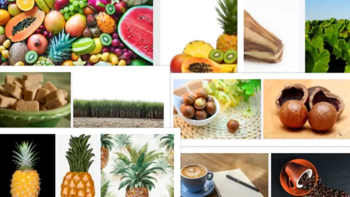 What fruit is Hawaii known for? | Top Local & Delicious Hawaii Fruits
