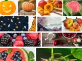 What fruit is Illinois known for