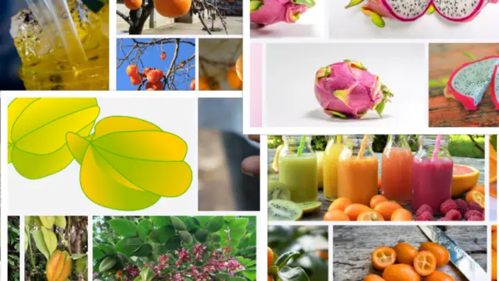 What fruit is Florida known for? | Local & Delicious Florida Fruits