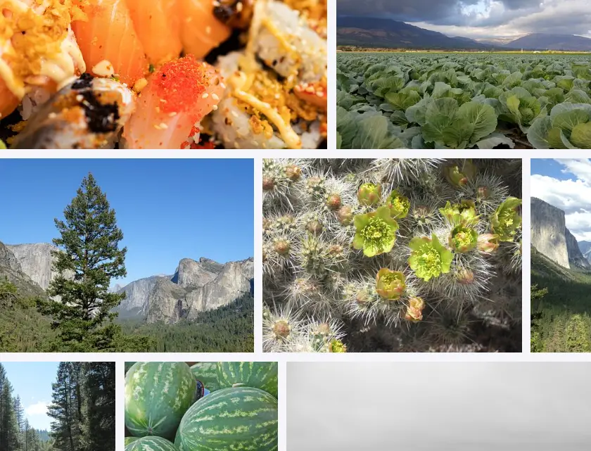 What is California known for agriculture?| What vegetable is California known for?