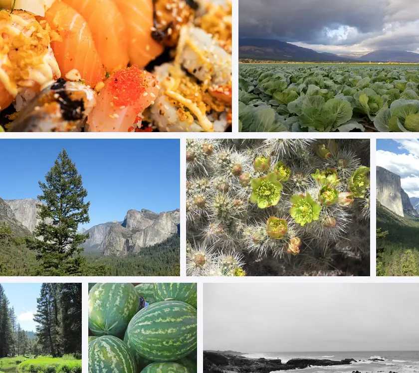 What is California known for agriculture?| What vegetable is California known for?