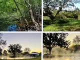 What is Florida known for agriculture