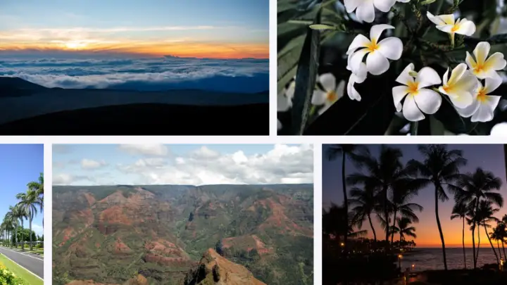 What is Hawaii known for? | Top 8 Best Things Hawaii is Famous For?