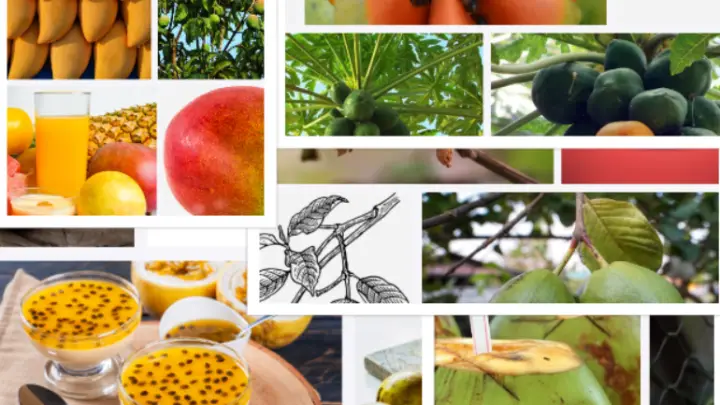 What is Hawaii known for agriculture? | What vegetable is Hawaii known for?
