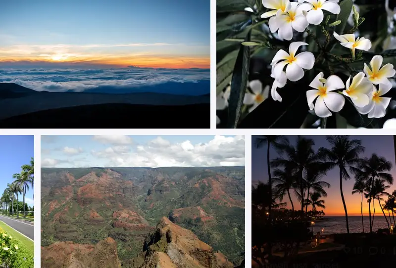 What is Hawaii known for? | Top 8 Best Things Hawaii is Famous For?