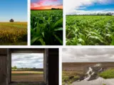 What is Illinois known for Agriculture