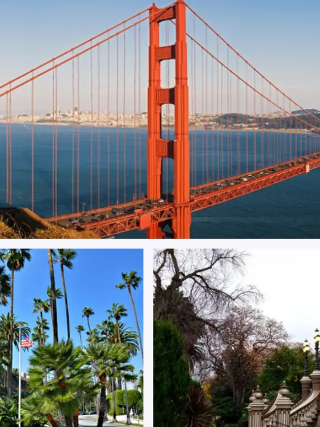 5 Weird Facts About California, You Don’t Know