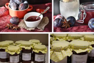 Beach plum jelly