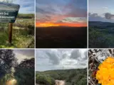 Fort Ord National Monument