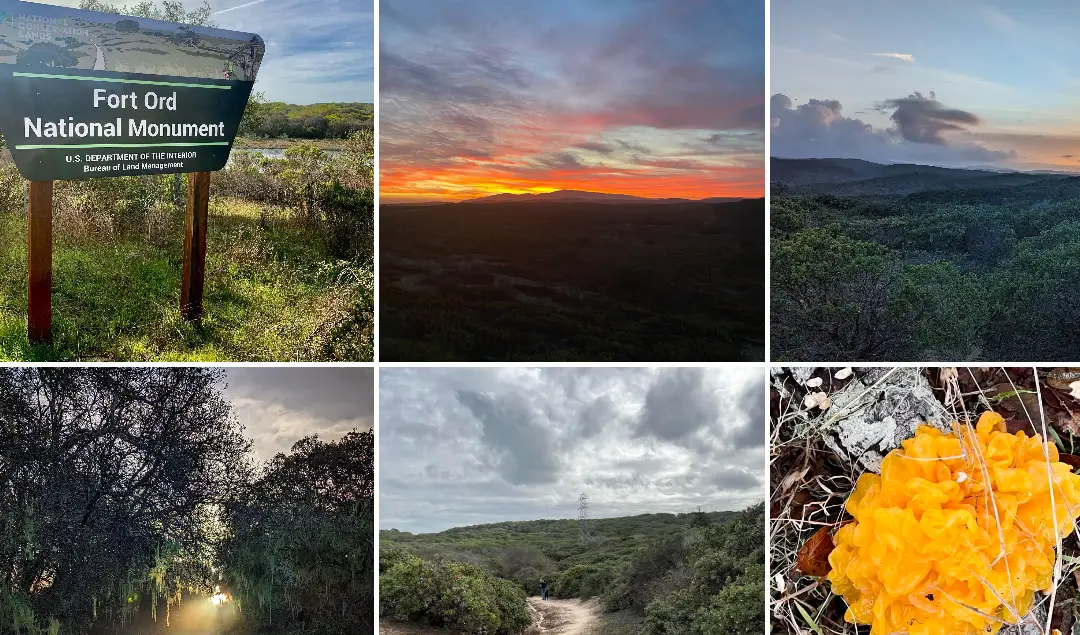 Fort Ord National Monument : Interesting Facts, History &#038; Travel Guide